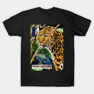 Amur leopard - Black T-Shirt